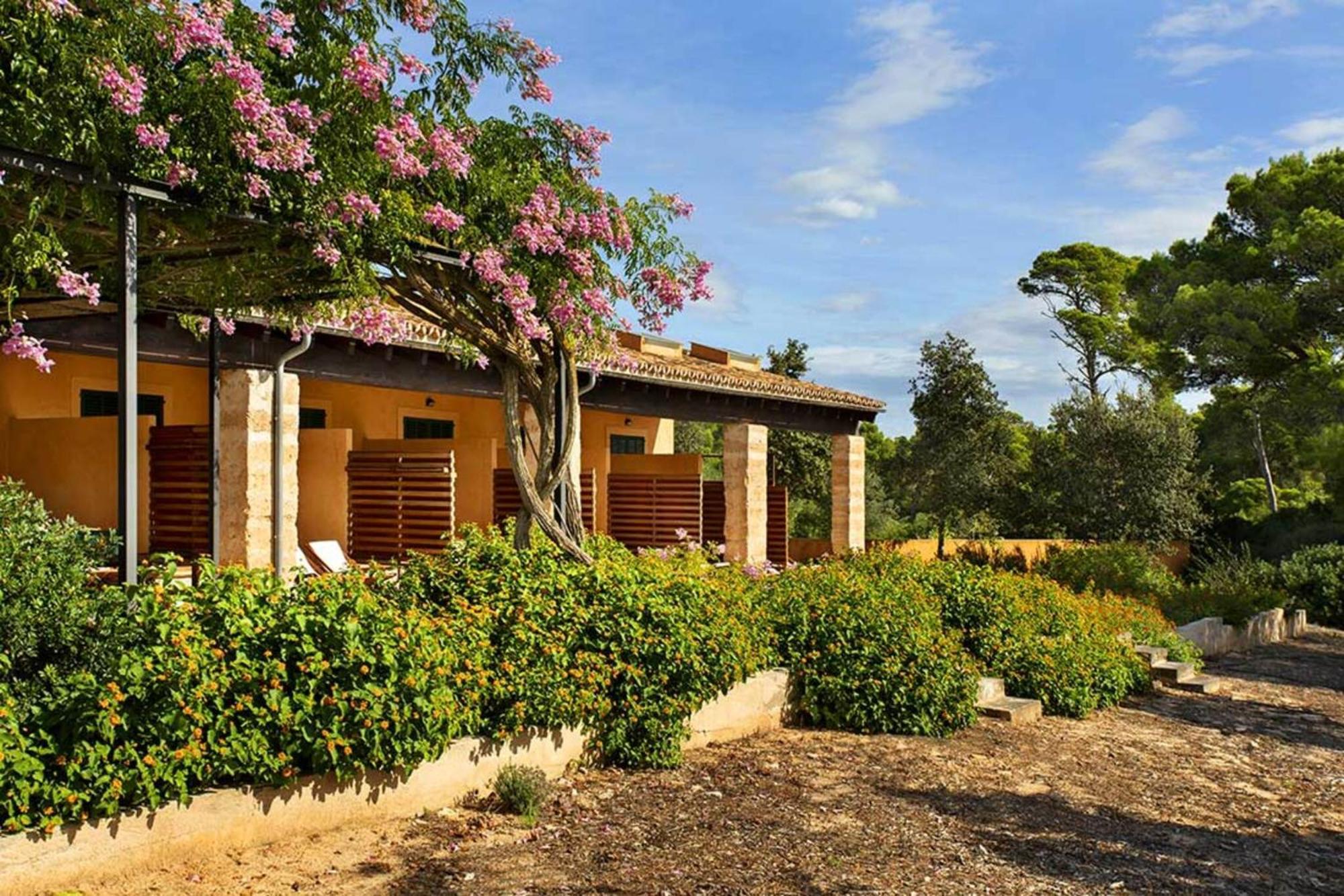 Finca Ses Arenes Apartment Colonia de Sant Jordi Exterior photo